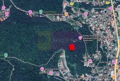 Teren extravilan de 1000 mp, în Vlădeț - Trei Brazi - 2