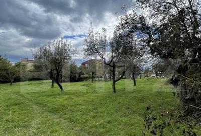 ???? Teren 14.28ari in zona Schulleward ideal pentru ca - 6