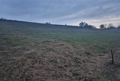 De vanzare teren 1,2 Ha in Laureni De vanzare teren 1,2 Ha in Laureni - 1