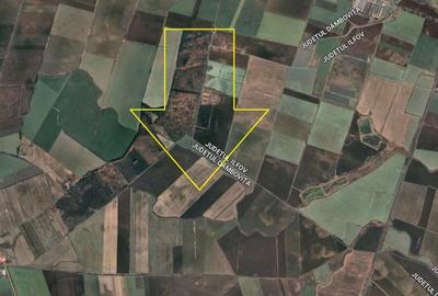 Vand teren Crevedia 140 hectare - 2