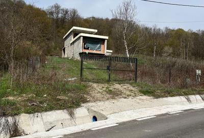 Casă cu 4 camere cu Teren 4038 Mp în Milcoiu - 11