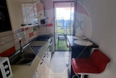 Garsoniera De Inchiriat Asmita Tineretului - 5