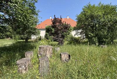 De vanzare Conacul istoric Apor din Zalan, cu teren de 15.691 m - 9