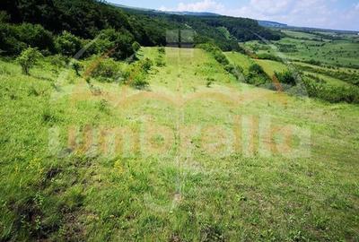 Teren de vanzare in jud.Cluj, Feleacu 3.100 mp