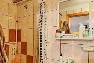 Proprietate investitionala cu  mai multe apartamente-singur in curte - 22