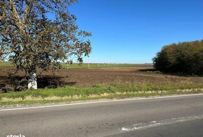 Teren de 8677 mp, în Central - 3