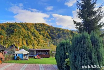 Pensiunea Denisa Baiu? - 4