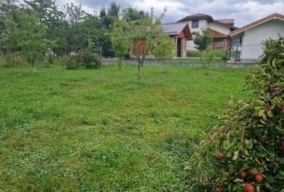 Vand casa Vand casa - 6