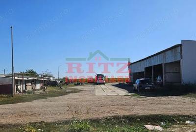 Teren de 56800 mp, în Fărcașele - 8