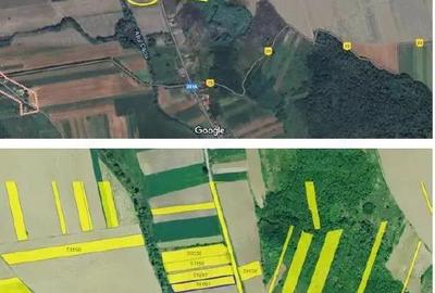 Teren Extravilan Corbita, ID: R1966413 - 2