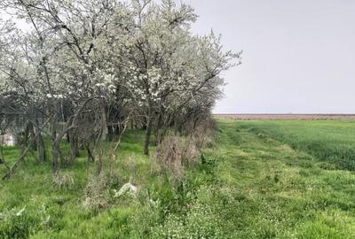 Teren în Văleni - 2
