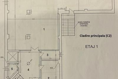 VATRA LUMINOASA –Iancului- Agricultori | Cladire 1900mp | Teren 1030mp - 5
