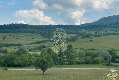 Teren agricol extravilan de 6500 mp, în Cușma - 2
