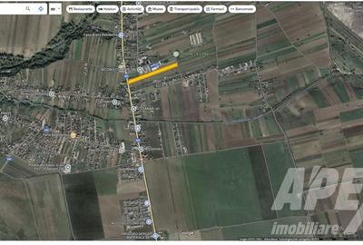 Teren 6000 m.p. Oportunitate investitie Comision 0% | Simnicu de Sus- Craiova - 3