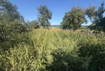 Casa De Vanzare LUNA - 3