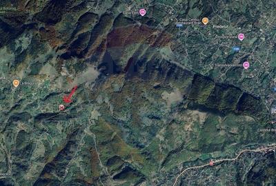 Comision 0% | Teren intravilan 2068 mp | Magura | Piatra Craiului - 8