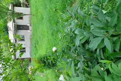 Inchiriere curte 12000m2 pa?une plus casa cu utilita?i minime - 1