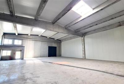 Spațiu industrial, de 1,100 mp, în Aradului - 7