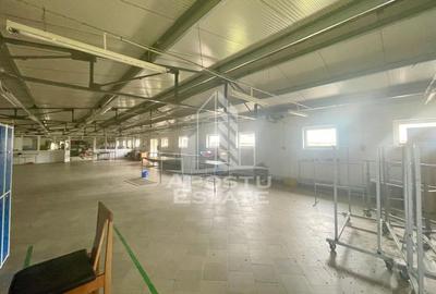 Spatii productie si depozitare, zona Sebis - Prunisor-Carand - 12