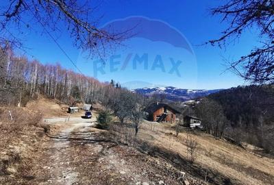 Casă cu 14 camere cu Teren 62000 Mp în Horea - 3