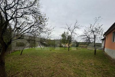 Casa individuala, 3300 mp teren, zona Sintereag - 10