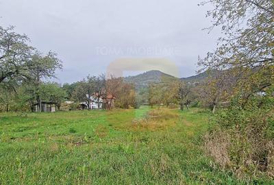 Teren intravilan de vânzare – 1.350 mp – Comuna Alexandru cel Bun - 11