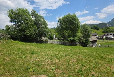 Teren intravilan parcelabil 6312 mp - minim 1000 mp - Rucar, Arge? - 2