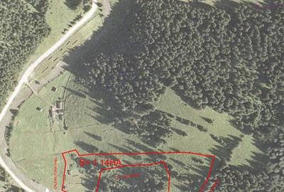 Teren de 34600 mp, în Cârlibaba