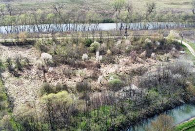 Teren intravilan Balint 22.500 mp - 10