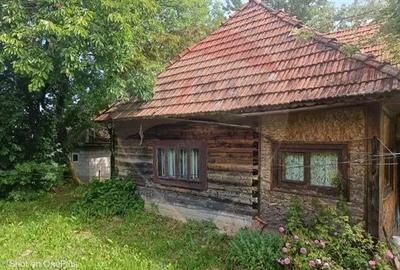 Casă cu 3 camere cu Teren 5472 Mp în Breb - 10