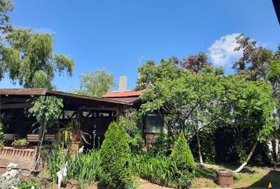 Spațiu comercial, de 380 mp, în Feldioara - 1