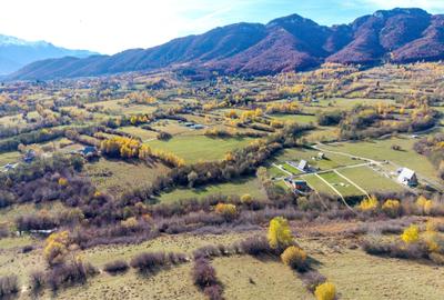 Teren Construcții intravilan de 2500 mp, în Tohănița - 4