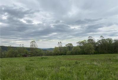 Oportunitate investitie | Teren 10 000 mp cu constructie 530 mp la 10 km de Viscri - 15