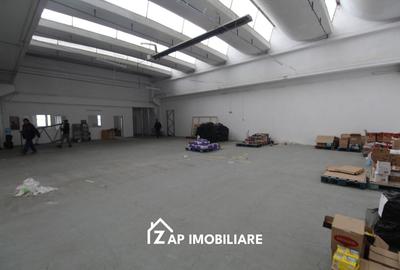 Spațiu industrial, de 250 mp, în Gheorghe Doja - 8