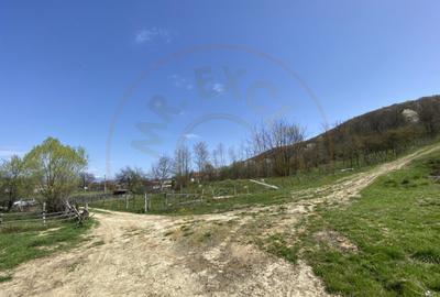 Teren 13.000 mp zona de deal - Aninoasa AG - 12