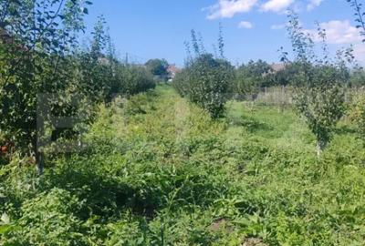 Casă cu 1 camere cu Teren 3000 Mp în Central - 8