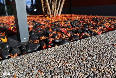 Casă cu 4 camere cu Teren 1000 Mp în Bucium - 1