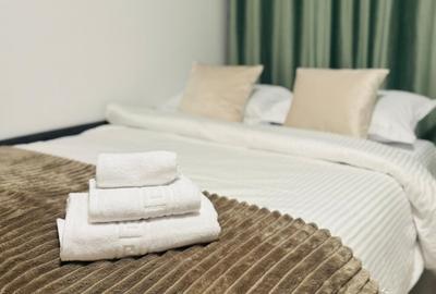 APARTAMENT 1 CAMERA, ETAJ 1, MOBILAT SI UTILAT, POPAS PACURARI - 1