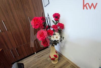 Spatiu birouri, premium, mobilat, Lapus Arges - 14