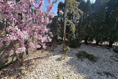 Casă cu Teren 294 Mp în Freidorf - 9