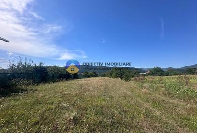 Teren intravilan de vanzare – 1.688 mp, Dumbrava Rosie - 4