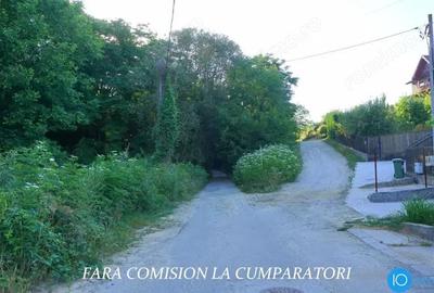 TEREN 6700 MP, INTRAVILAN LANGA PADURE - 3