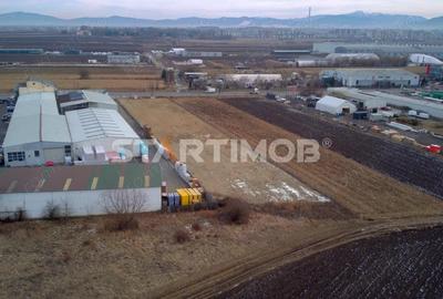 Teren intravilan DN 13 pretabil activitati comerciale - 17