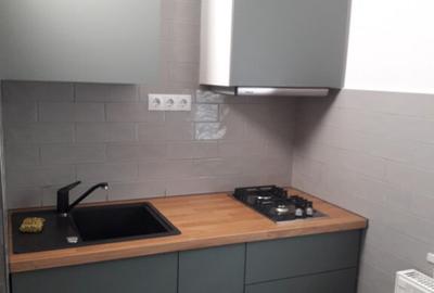 Proprietar ofer garsoniera Lujerului - Virtutii - 8