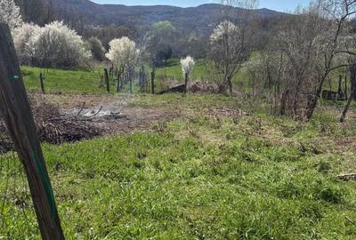 Teren de 376 mp, în Exterior Vest - 1