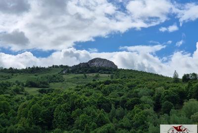 Teren Construcții de 669 mp, în Ampoița - 4