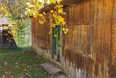 Teren extravilan in localitatea Bulz - 8