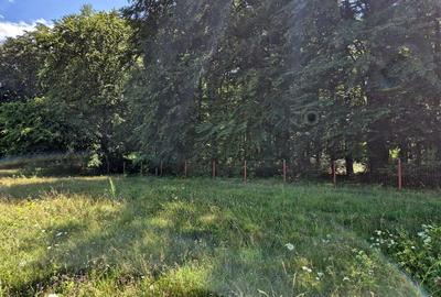 Teren 1000 MP | Deschidere 28 ML | Sambata de Sus | Ideal Casa Vacanta - 2