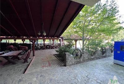 Hotel de inchiriat in Branesti - 12