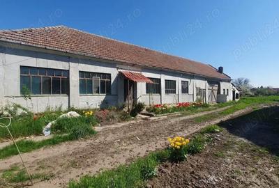Casă cu 5 camere cu Teren 2259 Mp în Zădăreni - 16